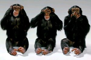 Свобода прессы сделала гигантский шаг назад со времен падения коммунистического режима, когда российские редакторы приветствовали независимые идеи и ценили профессиональную журналистику, считает Немцова