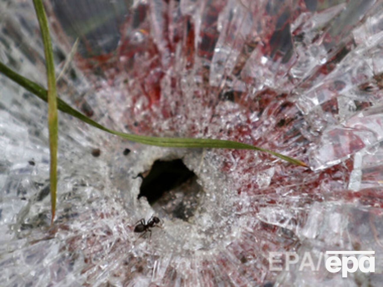 Автобус с мирными жителями был обстрелян сегодня около 14.30