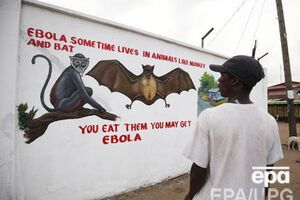 От вируса Эбола скончались более 8,4 тыс. человек