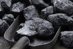 Украденный уголь работники милиции вернули государству