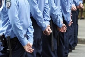 Милиция расследует убийство собаки