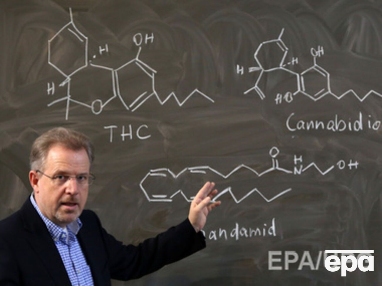 Рак не связан с внешними факторами, заявили ученые