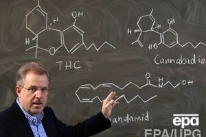 Рак не связан с внешними факторами, заявили ученые