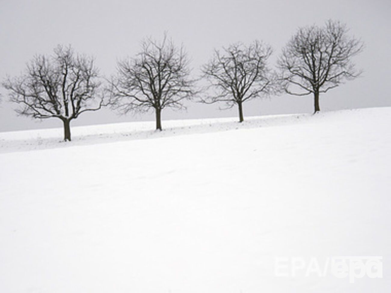 Завтра в Украине потеплеет