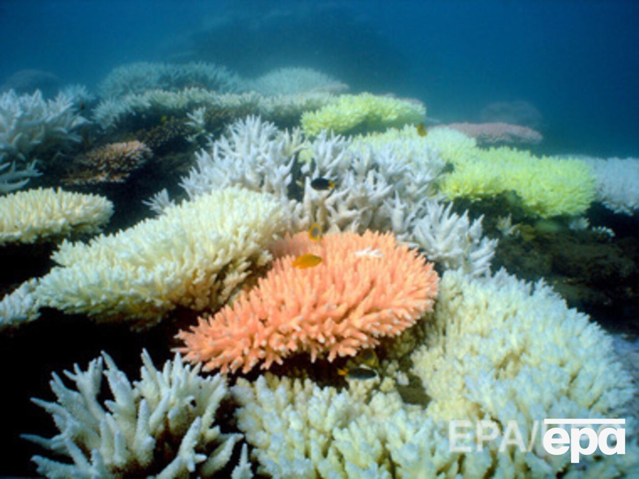 Ученые призывают фермеров к сотрудничеству и строгому планированию в прибрежной зоне