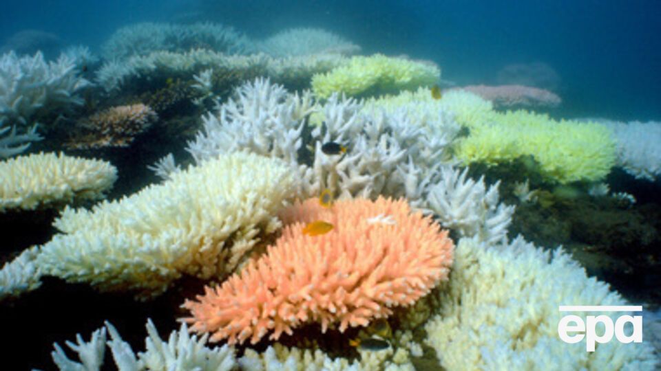 Ученые призывают фермеров к сотрудничеству и строгому планированию в прибрежной зоне