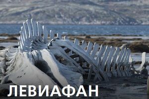 "Левиафан", который уже успели окрестить "энциклопедией русской жизни", а его создателя сравнить и с Триером, и с Тарковским, вышел настолько же беспощадным, насколько и бессмысленным. Как русский бунт