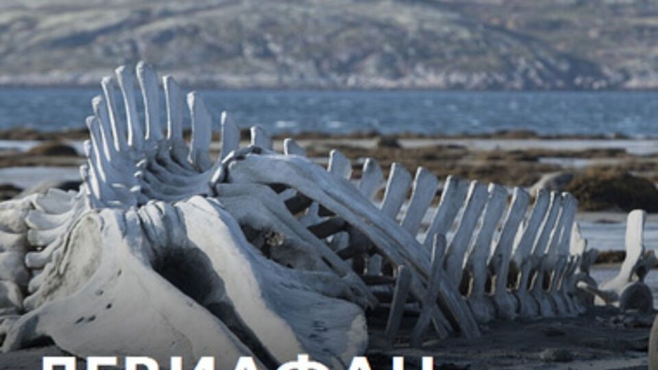 "Левиафан", который уже успели окрестить "энциклопедией русской жизни", а его создателя сравнить и с Триером, и с Тарковским, вышел настолько же беспощадным, насколько и бессмысленным. Как русский бунт