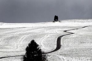 Сегодня практически на всей территории страны осадки