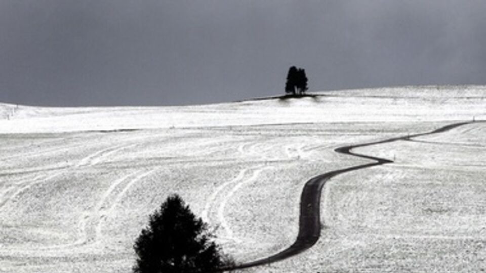 Сегодня практически на всей территории страны осадки