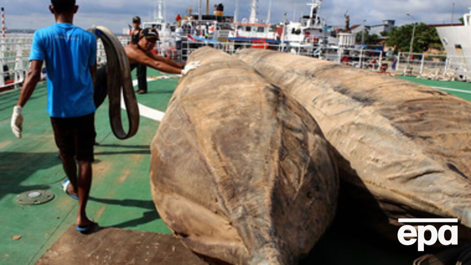 Причиной такой скорости могли стать неблагоприятные погодные условия и слишком сильный ветер