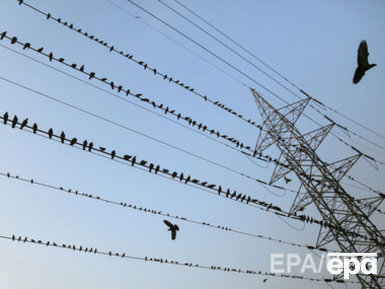 Крымские "власти" продолжают захватывать украинские компании