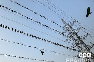 Крымские "власти" продолжают захватывать украинские компании