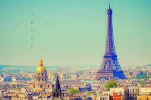 Ранее эксперт по проблемам терроризма и исламского экстремизма Стивен Эмерсон утверждал в эфире Fox News, что в Париже и других городах Франции есть районы, куда не заходят немусульмане