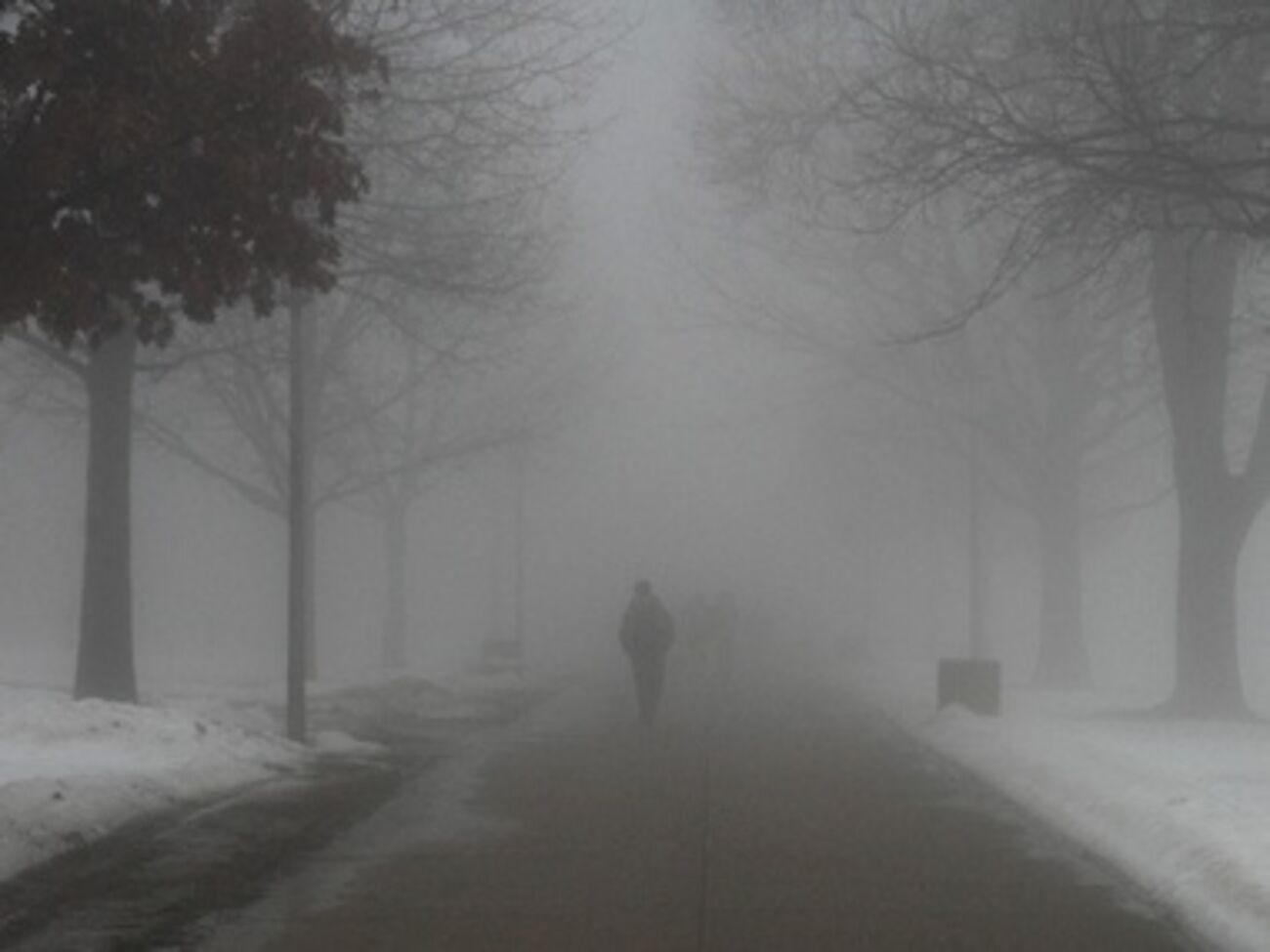 Температура воздуха в Киеве 1...3 градуса тепла