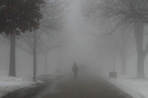 Температура воздуха в Киеве 1...3 градуса тепла