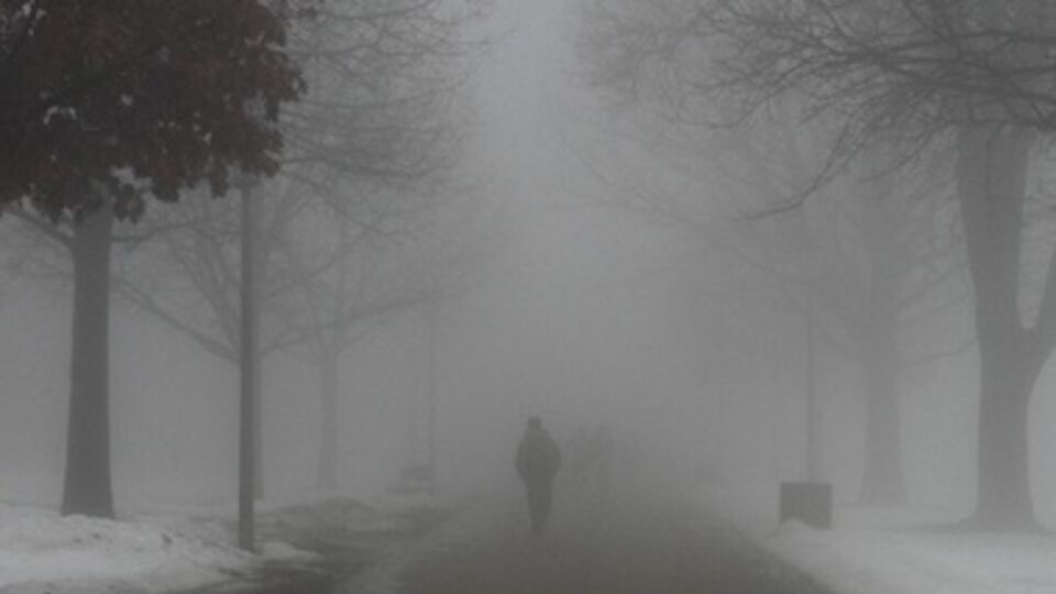 Температура воздуха в Киеве 1...3 градуса тепла