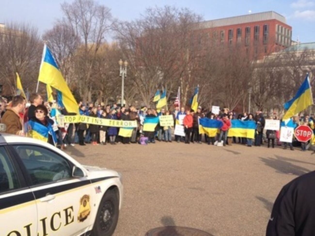 Протесты против Путина состоялись и в США