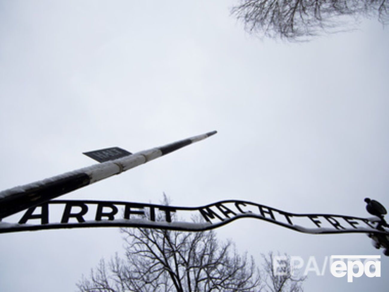 Узники концлагеря были освобождены 27 января 1945 года