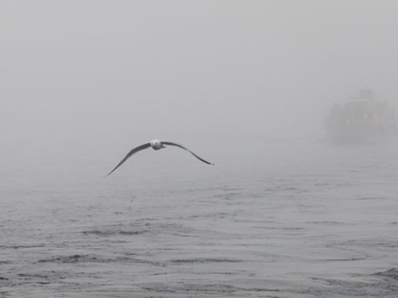 Переправу окутал густой туман