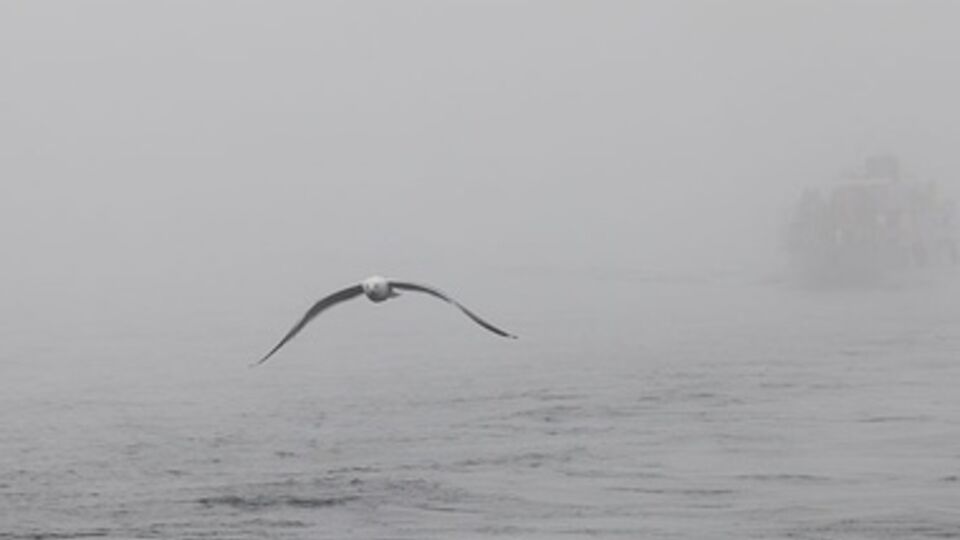 Переправу окутал густой туман