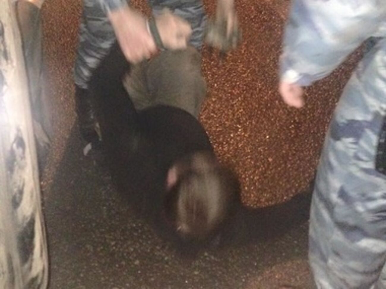 Константин Реуцкий был избит милиционерами в Харьковской области