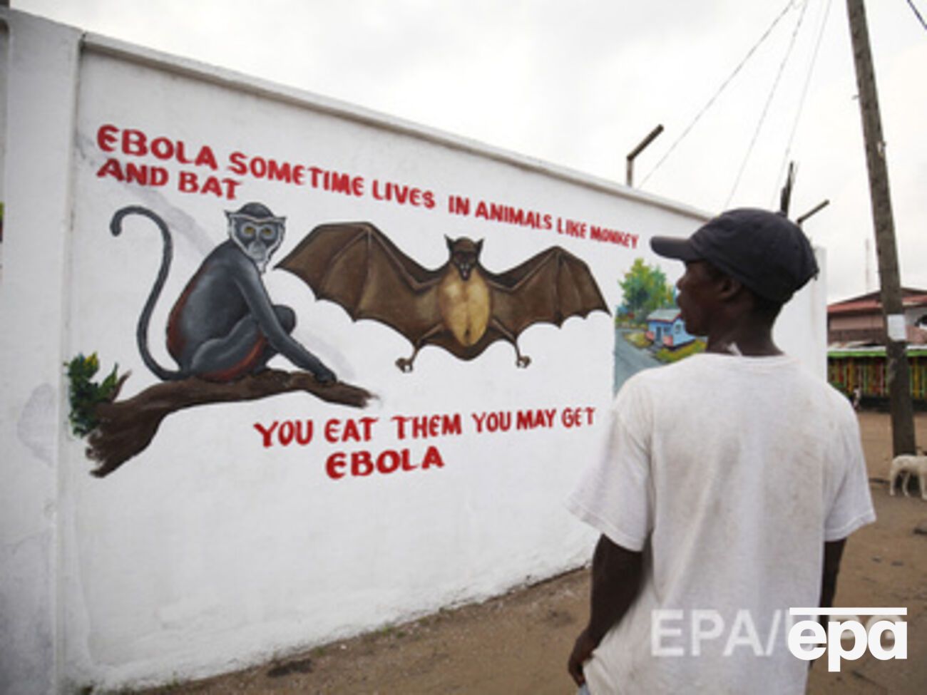 ООН хочет победить вирус Эбола в текущем году