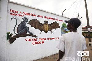 ООН хочет победить вирус Эбола в текущем году