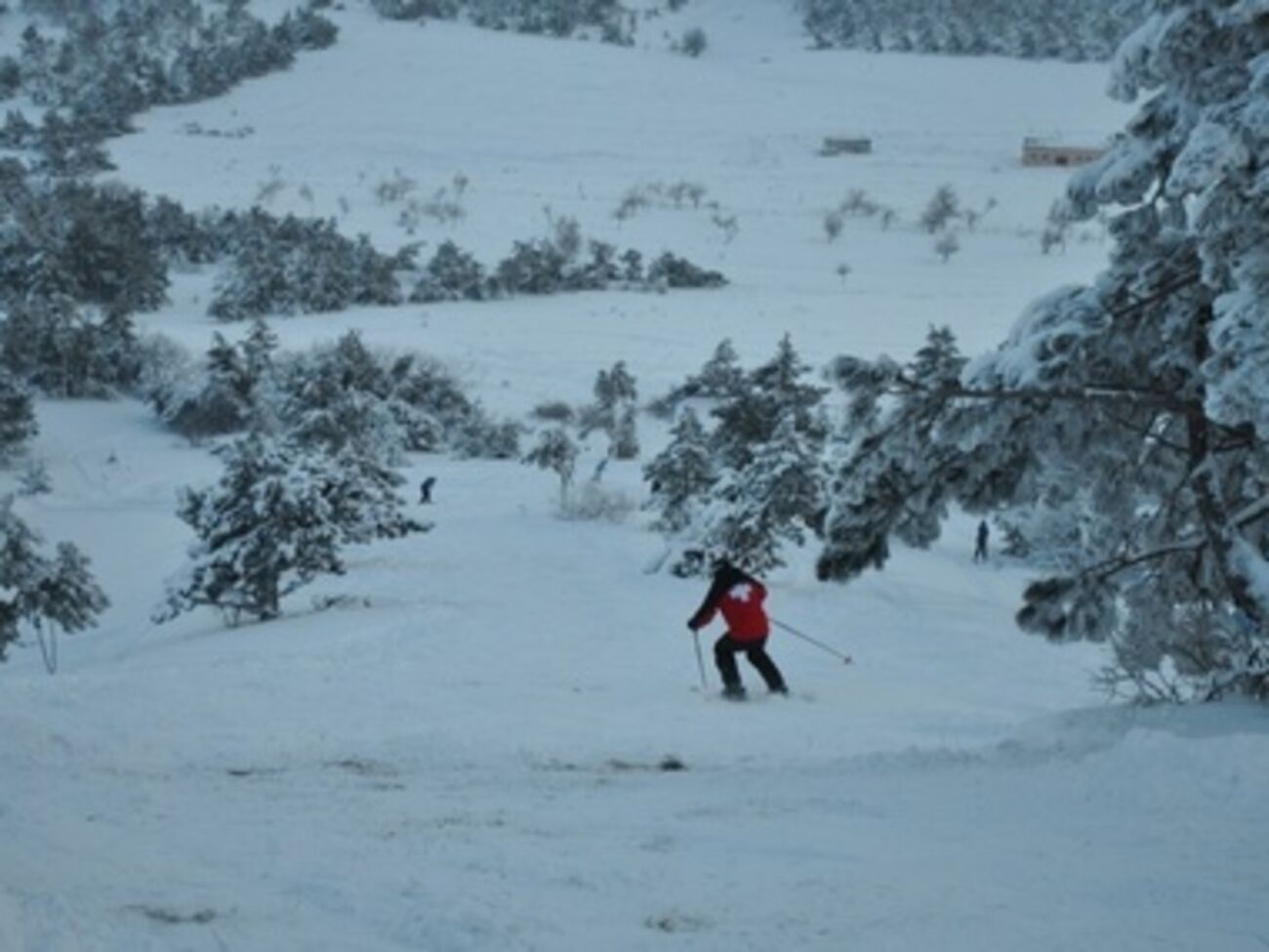 Курорт будет находиться не на Ай-Петри, поскольку это заповедник, а на прилегающей территории, заявила "министр курортов и туризма Крыма" Елена Юрченко
