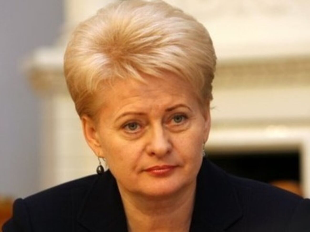 Литва уже предоставляет разнообразную военную помощь Украине, сообщила президент