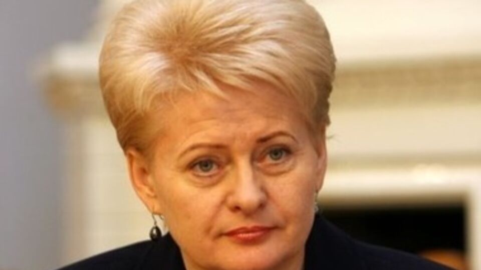 Литва уже предоставляет разнообразную военную помощь Украине, сообщила президент