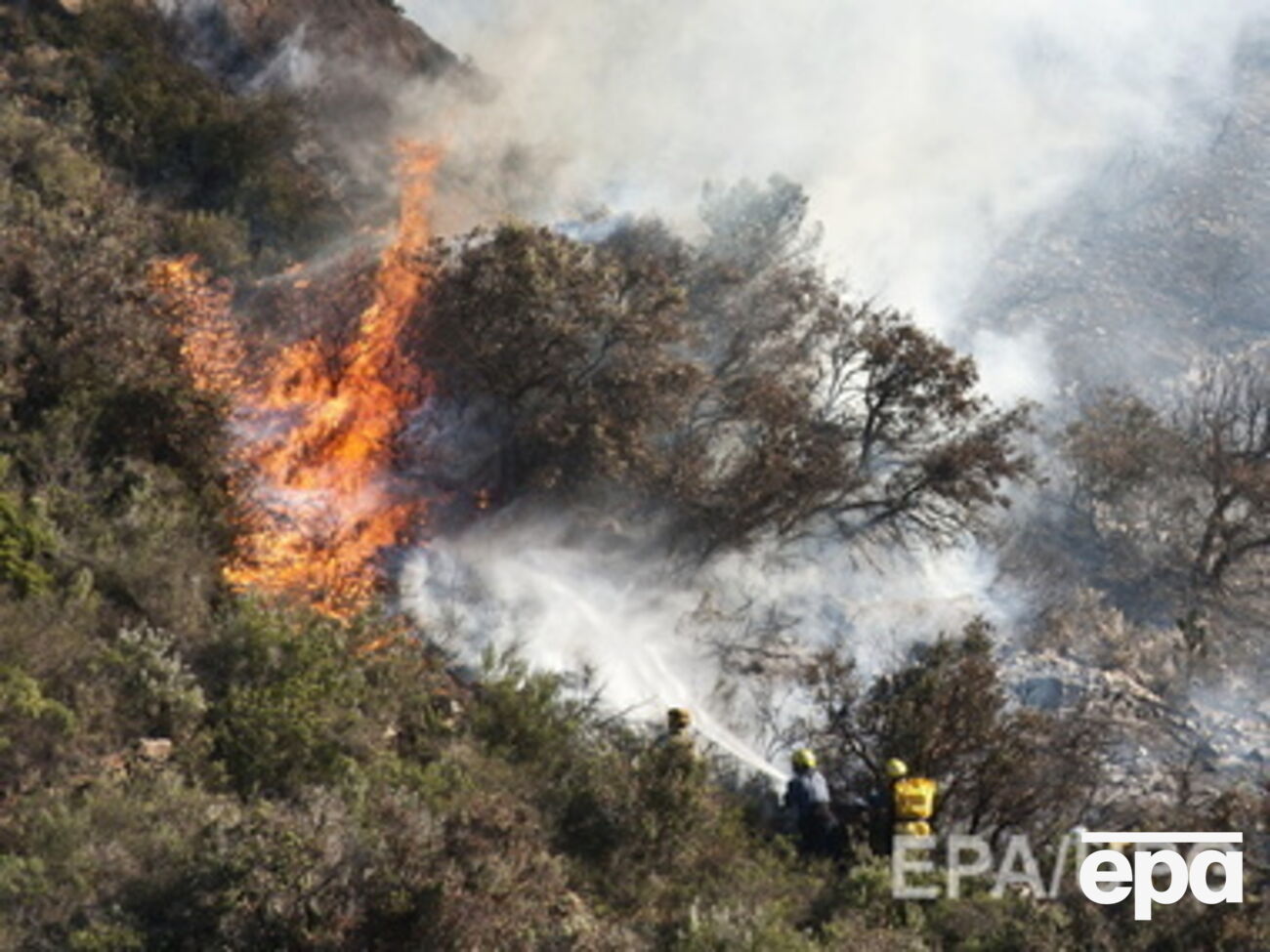 Самолет упал в лесу недалеко от аэродрома Попхэм, на месте крушения работают 25 пожарных