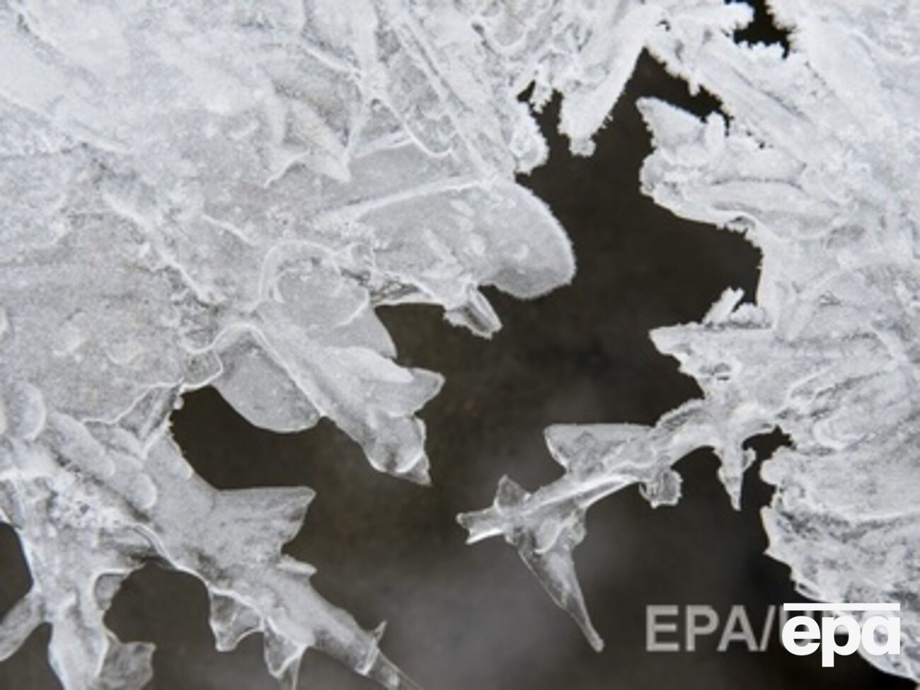 В ближайшие дни ожидается похолодание