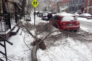 Непогода обесточила 150 тысяч домов