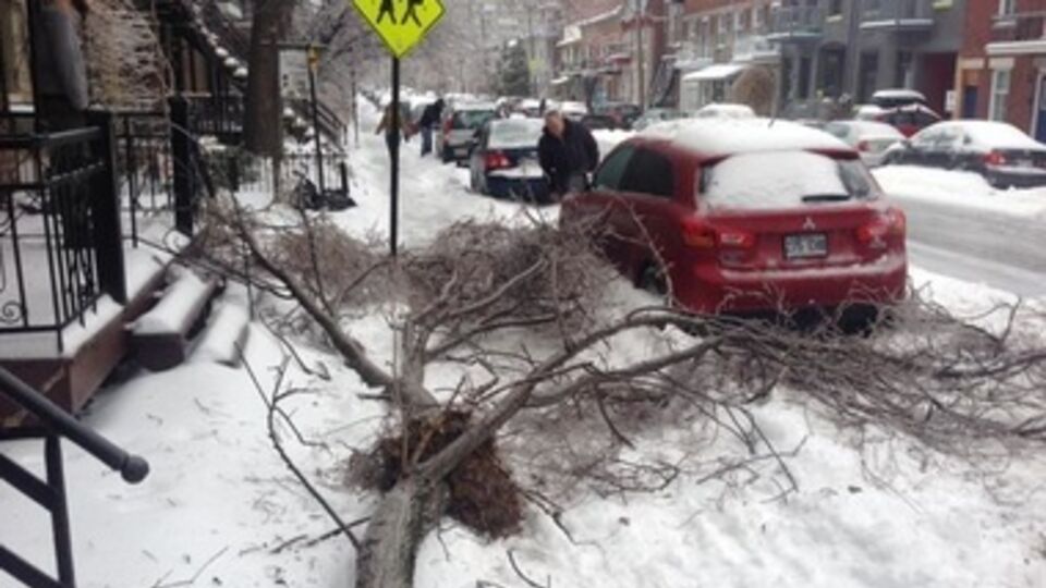 Непогода обесточила 150 тысяч домов
