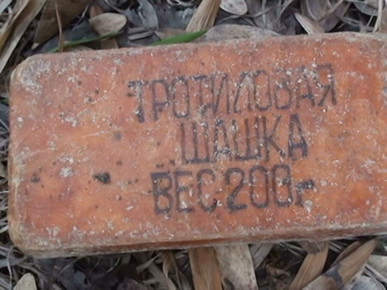 Мужчина хранил 6,5 кг тротила в гараже