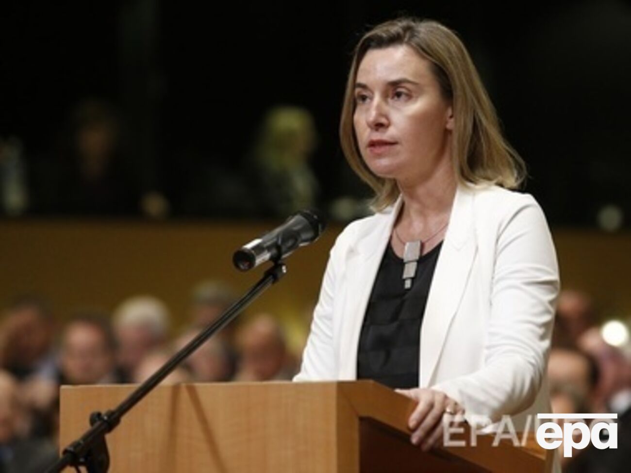 Голосование по докладу Могерини пройдет в четверг, 15 января