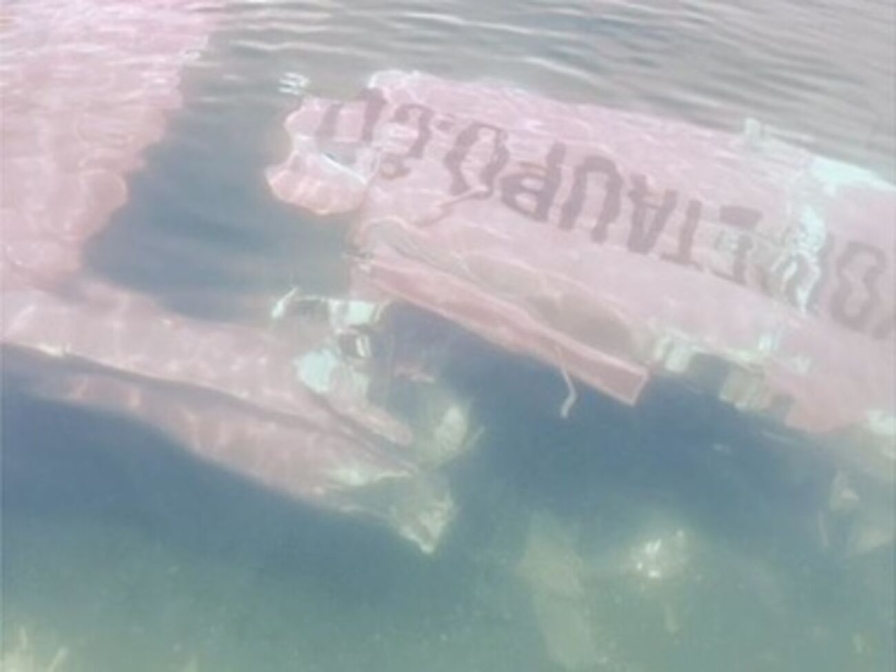 Пилоту также удалось спастись, он сумел самостоятельно добраться до берега