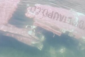 Пилоту также удалось спастись, он сумел самостоятельно добраться до берега