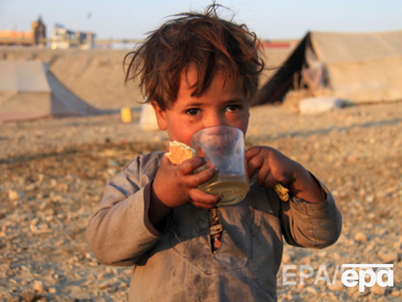 Свой дом покинули более 46 млн человек