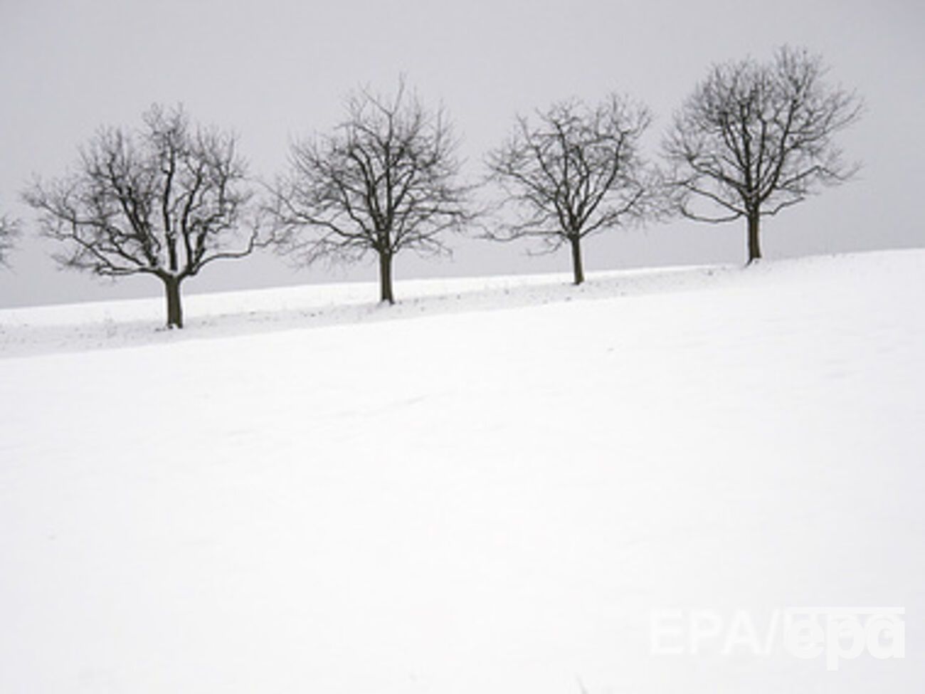 В ночь на 8 января ожидается до 27 градусов мороза