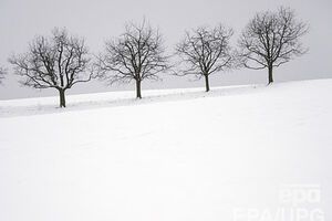 В ночь на 8 января ожидается до 27 градусов мороза