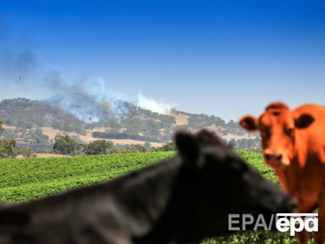 Более 100 человек госпитализированы, 32 дома и 125 пристроек были уничтожены пожарами