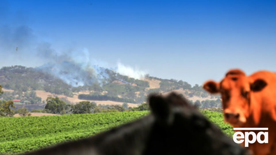 Более 100 человек госпитализированы, 32 дома и 125 пристроек были уничтожены пожарами