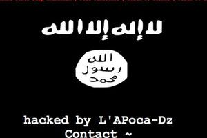 Сообщение, которое разместили хакеры на сайтах городов