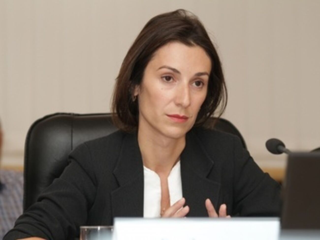 Згуладзе рассказала о биометрических паспортах