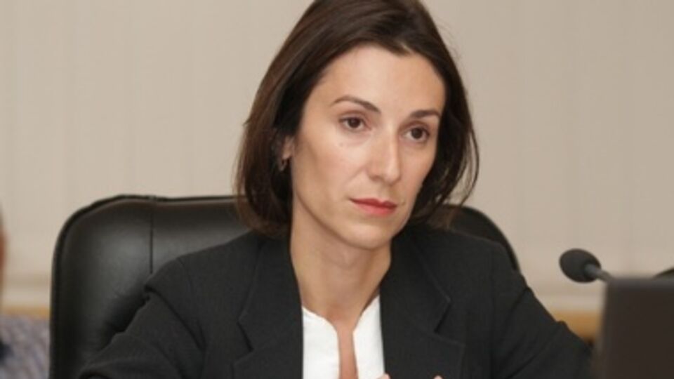 Згуладзе рассказала о биометрических паспортах