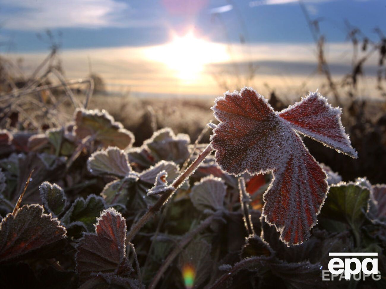 Прохладная погода сохранится