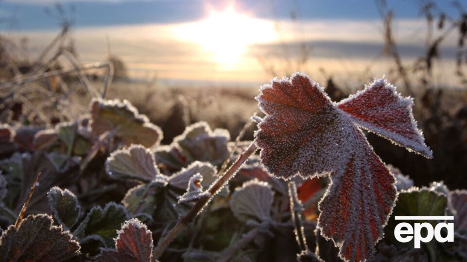 Прохладная погода сохранится