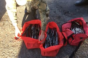 Доник: Крым – это Украина. Без вариантов. Чуть-чуть времени надо